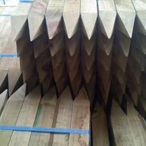 Pine Pointed Peg RS H4 Treated 50x40x300