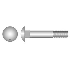 Coach Cup Bolt & Nut