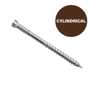 Ecko T-Rex Cylindrical Head T20 Torx Drive 10g65mm Decking Screw 316 Grade S/S