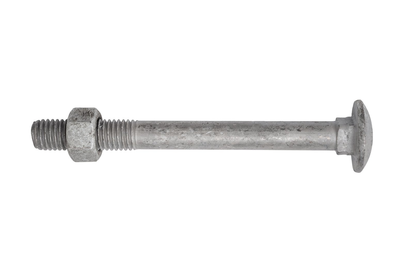 Coach Cup Bolt & Nut - Image 2