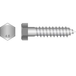 Coach Screw
