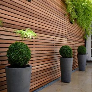 Screening Timber